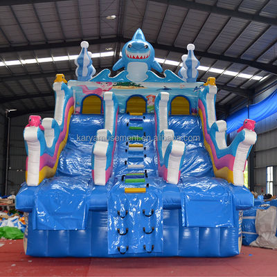 パーソナライズ可能なオーシャンパーク 充気キャッスル プリント保護付きのダブルスライド コンボ