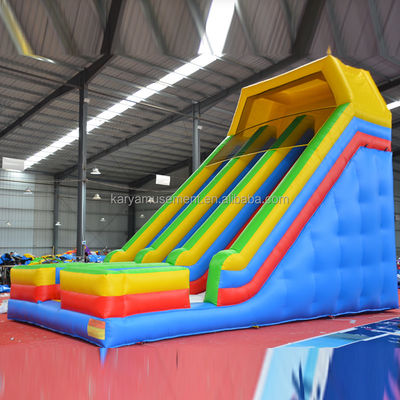 バックヤード 膨らませられる水スライド 2 レーンとプール 子供 水遊び場 公園 ゲーム スライド