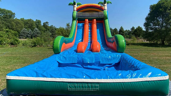 最大容量 100-500kg プールとパームツリースライド付きのダブルレーン充気水上公園