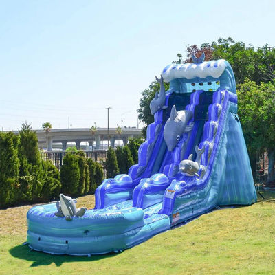 夏の水遊び場での子供と大人のための脱ぎ取れるプール充気スライド