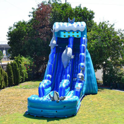 夏の水遊び場での子供と大人のための脱ぎ取れるプール充気スライド