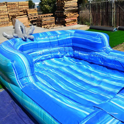 夏の水遊び場での子供と大人のための脱ぎ取れるプール充気スライド