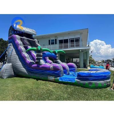 アイテム パーソナライズされた色 プール付きの充気式バウンサースライド 商業用水道スライド