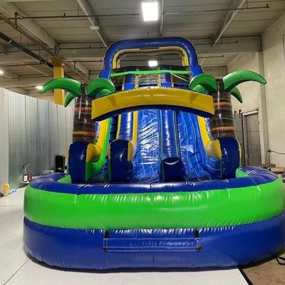室内用 強化された2層 PVC パームツリー 充気式 ダブル スライド 水スライド プール付き 子供と大人のために