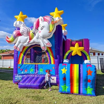 カスタマイズされたカラー ユニコーン 跳ね返しの城 吹き飛ばしの跳ね返しの家 子供のジャンプゲーム