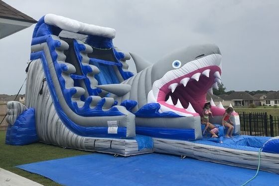 人気 膨らませられる水上公園 設備 プール付きの大きな青い3Dサメ水上スライド