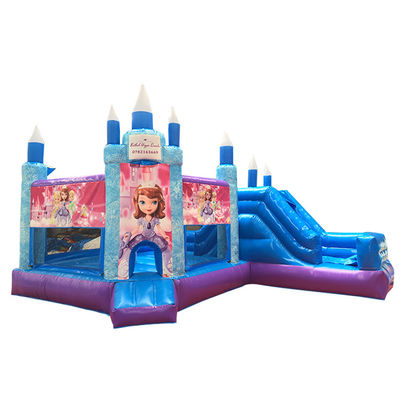 ホットプリンセスパーティー スライド付きのバウンシーキャッスル PVC 商業用遊び場設備