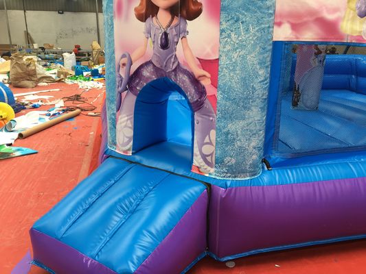 ホットプリンセスパーティー スライド付きのバウンシーキャッスル PVC 商業用遊び場設備