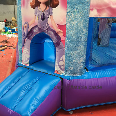 ホットプリンセスパーティー スライド付きのバウンシーキャッスル PVC 商業用遊び場設備