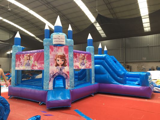 ホットプリンセスパーティー スライド付きのバウンシーキャッスル PVC 商業用遊び場設備