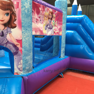 ホットプリンセスパーティー スライド付きのバウンシーキャッスル PVC 商業用遊び場設備