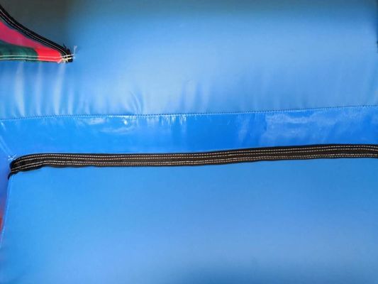 EN14960 認定 カスタマイズされたカラー セサムストリート 子供用の充気遊び場バウンサー