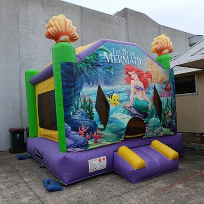 パーソナライズされたサイズ 商業用充気水母 空中ジャンプ ボンサーハウス 公園用