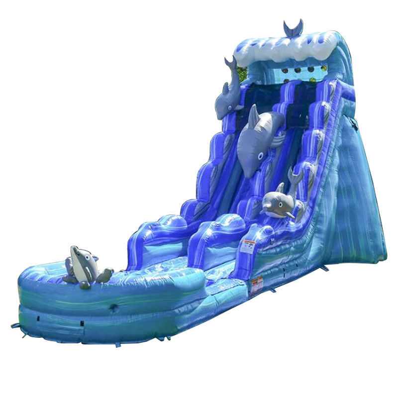 夏の水遊び場での子供と大人のための脱ぎ取れるプール充気スライド